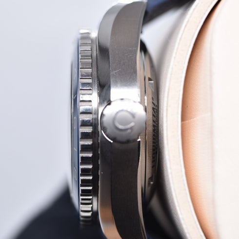 Omega Seamaster Planet Ocean